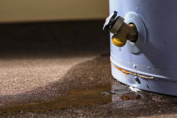 Best Residential water damage restoration  in Cass City, MI