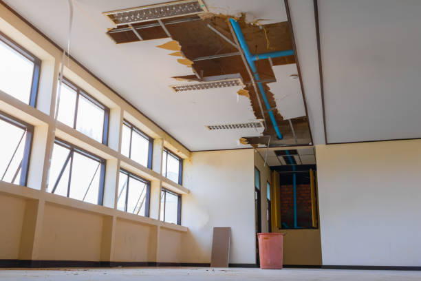 Best Local water damage restoration  in Cass City, MI