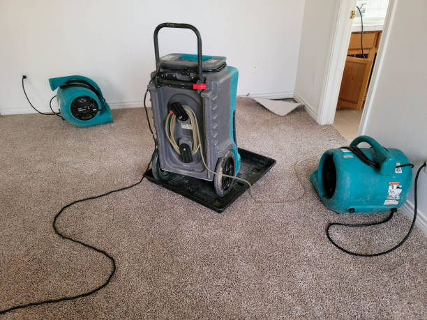Professional Water damage restoration in Cass City, MI