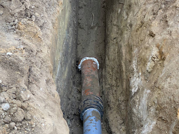 Best Flood damage cleanup  in Cass City, MI