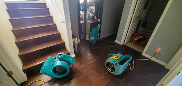 Carpet water damage restoration in Cass City, MI