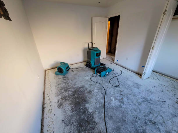 Best Carpet water damage restoration  in Cass City, MI