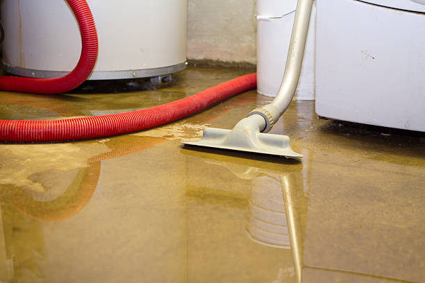 Best 24/7 water damage repair  in Cass City, MI