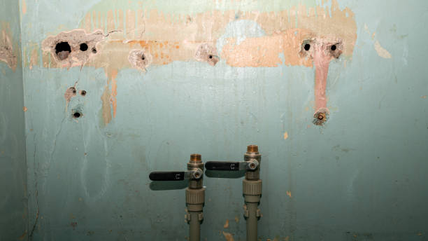 Best Water damage restoration near me  in Cass City, MI