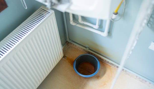 Water damage restoration mold remediation in Cass City, MI