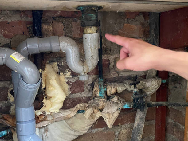 Best Mold removal after water damage  in Cass City, MI