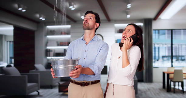 Best Water damage cleanup near me  in Cass City, MI